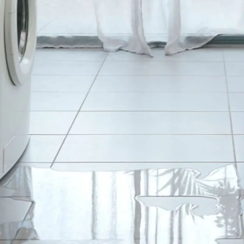 Appliance Leak Cleanup in La Porte, TX