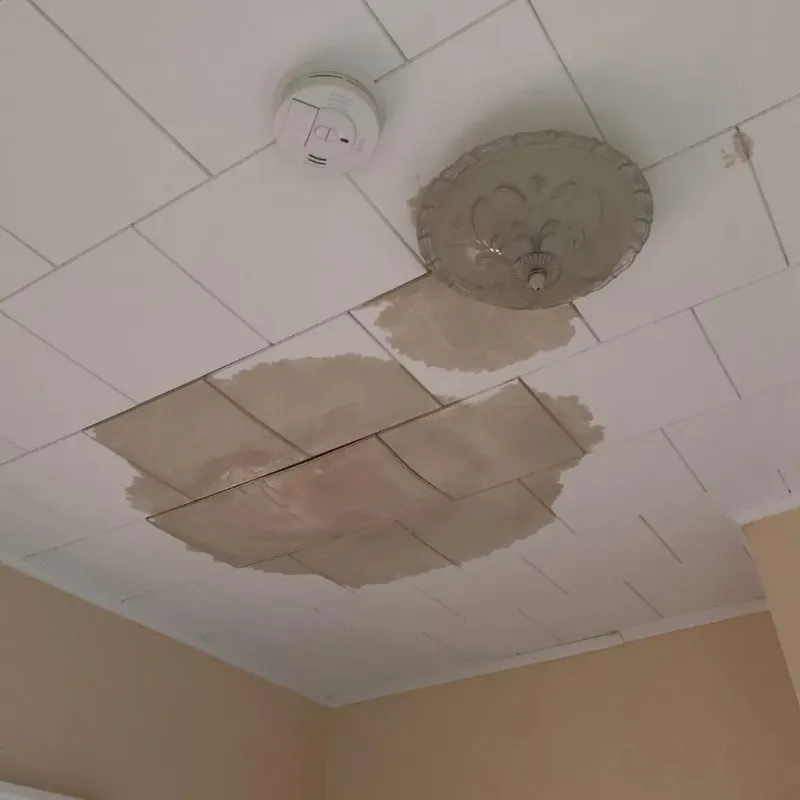 Ceiling Water Damage Repair in La Porte, TX